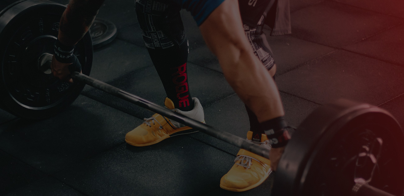 服務(wù)案例:JS-Biology