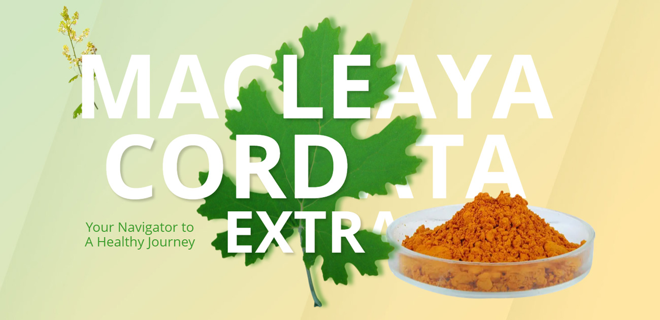 服務(wù)案例:Swift-bond